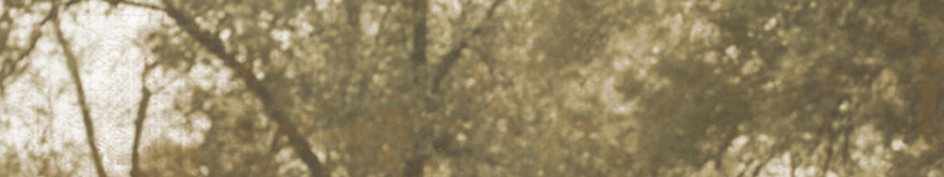 bg_page